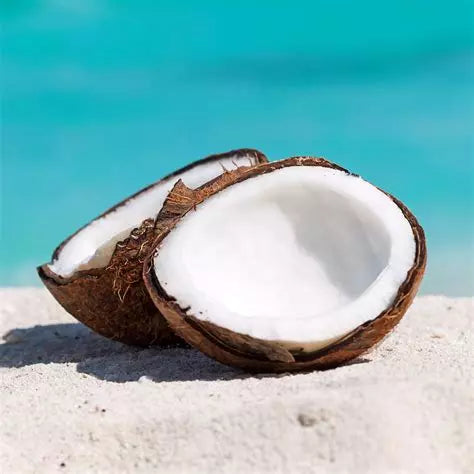 Buy Coconut Scented Things