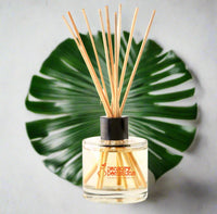 coconut-reed-diffuser2